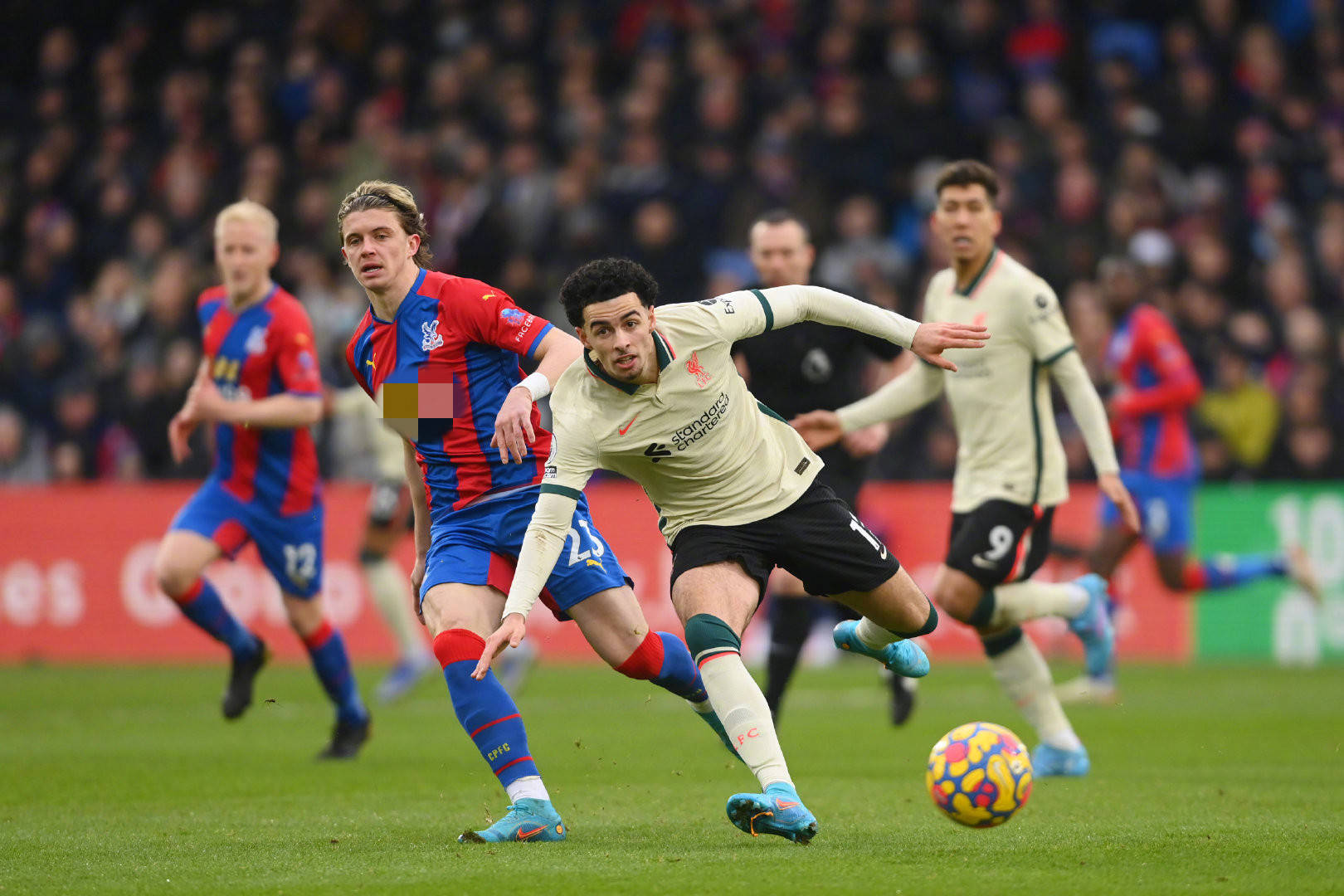 她与强敌过 她与强敌过